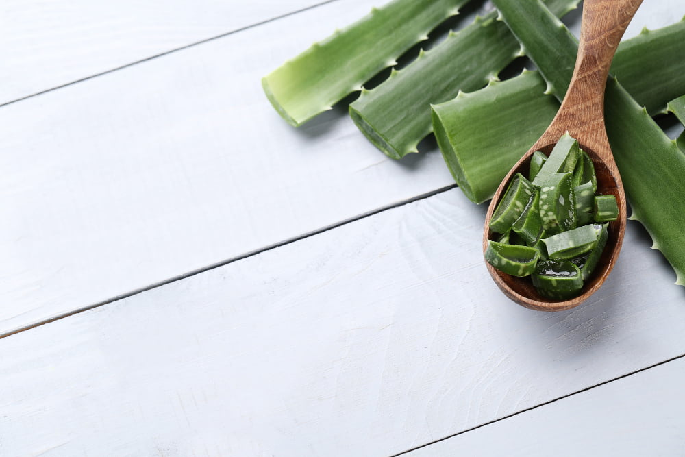 aloe vera slices skin care