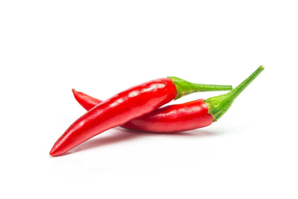 chili pepper isolated